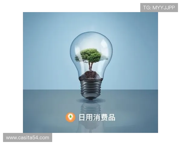 J9九游线上登陆安全保障措施全面解析确保玩家账号信息安全与顺畅登录体验
